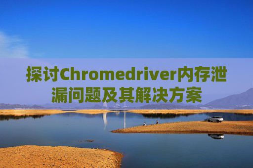 探讨Chromedriver内存泄漏问题及其解决方案